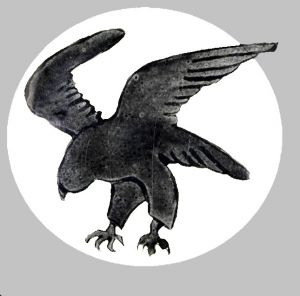 5th Squadron, 8th Wing, Swedish Air Force.jpg
