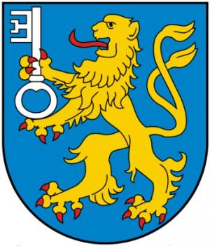 Coat of arms (crest) of Skwierzyna