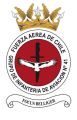 Aviation Infantry Group No 41, Air Force of Chile.jpg