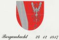 Wapen van Bergambacht/Coat of arms (crest) of Bergambacht