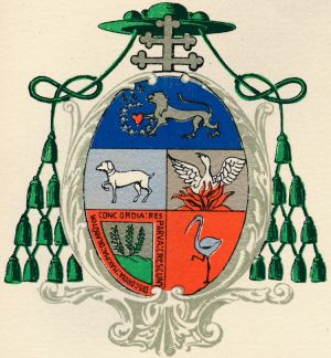 Tarragona-cortada.jpg