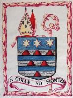 Wapen van Martinus Collé/Arms (crest) of Martinus Collé
