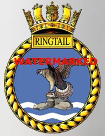 Coat of arms (crest) of the HMS Ringtail, Royal Navy