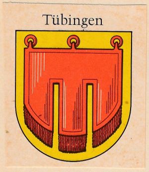 Tübingen.pan.jpg