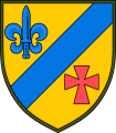54th Reconnaissance Battalion, Ukrainian Army.png