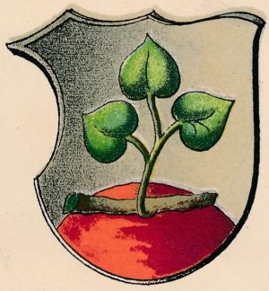 Wappen von Rotenburg an der Fulda