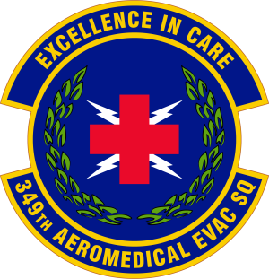 349th Aeromedical Evacuation Squadron, US Air Force1.png