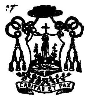 Arms of John Joseph Hennessy