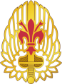 52nd Aviation Regiment, US Armydui.png