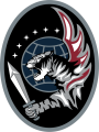 614th Combat Training Squadron, US Space Force.png