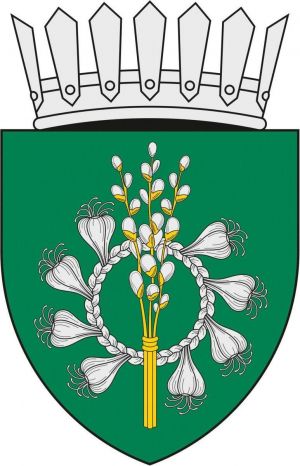 Goianul Nou.jpg