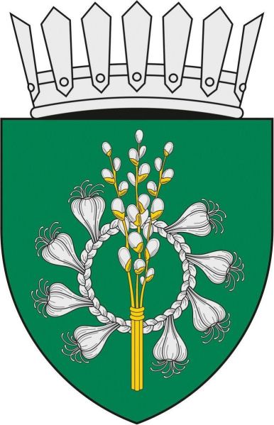 File:Goianul Nou.jpg