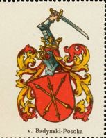Wappen von Badynski-Posoka