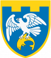 255th Territorial Defence Battalion, Ukraine.png
