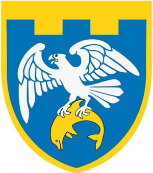 255th Territorial Defence Battalion, Ukraine.png