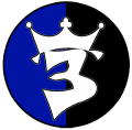 3rd Air Force Teleinformatics Support Area, Polish Air Force2.png