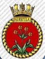 HMS Auricula, Royal Navy.jpg
