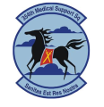 354th Medical Support Squadron, US Air Force.png