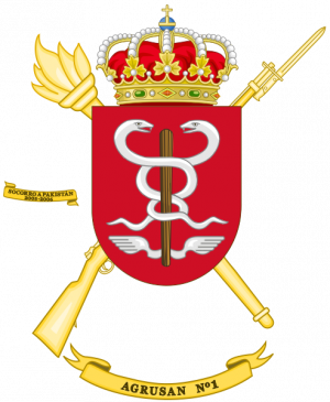1st Army Health Services Grouping, Spanish Army.png