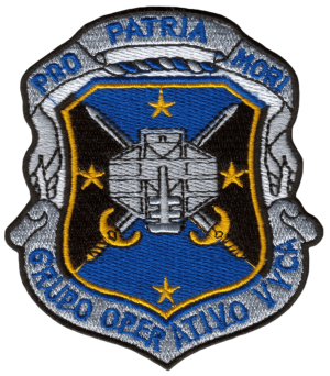 Operative Aerospace Vigilance and Control Group, Air Force of Argentina.png