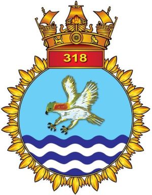 INAS 318 Hawks, Indian Navy.jpg