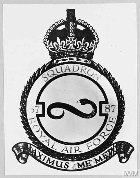 File:No 87 Squadron, Royal Air Force.jpg