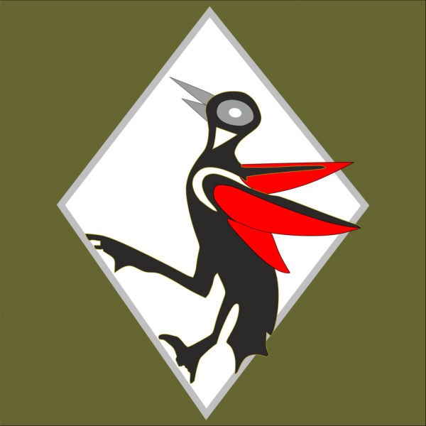 File:131st Fighter Squadron, Polish Air Force3.png