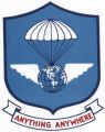 18th Aerial Port Squadron, US Air Force.jpg