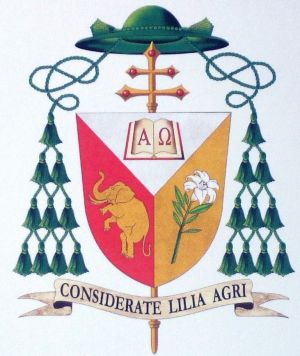 Arms (crest) of José Tolentino Calaça de Mendonça