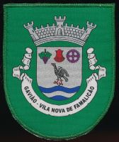 Brasão de Gavião/Arms (crest) of Gavião