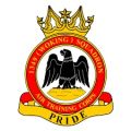 No 1349 (Woking) Squadron, Air Training Corps.jpg