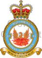 No 56 Squadron, Royal Air Force.jpg