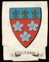 Blason d'Orléans/Arms of Orléans
