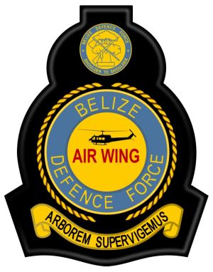 Air Wing, Belize Defence Force.jpg