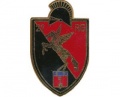 21st Engineer Regiment, French Army.jpg