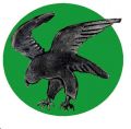 4th Squadron, 8th Wing, Swedish Air Force.jpg