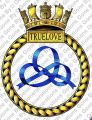 HMS Truelove, Royal Navy.jpg