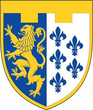 62nd Territorial Defence Battalion, Ukraine1.png