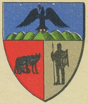 Stema Năsăud (county)