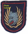 9th Fighter Wing, Belgian Air Force.jpg
