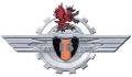 16th Zuwalski Repair Battalion, Polish Army.jpg