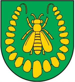 Arms of Turośl