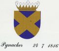 Wapen van Pijnacker/Coat of arms (crest) of Pijnacker