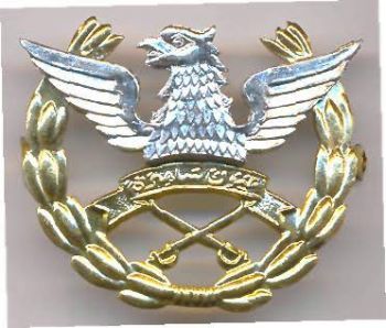 Coat of arms (crest) of the Pakistan Army Aviation, Pakistan Army
