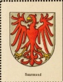 Arms of Saarmund