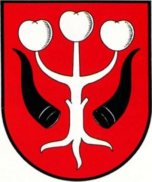 Arms of Garwolin