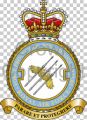 No 3 Force Protection Wing, Royal Air Force.jpg