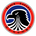 Black Eagles Air Demonstration Team, Republic of Korea Air Force.png