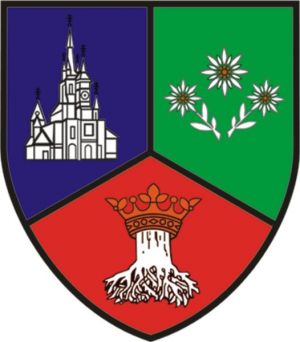 Coat of arms (crest) of Brașov (county)