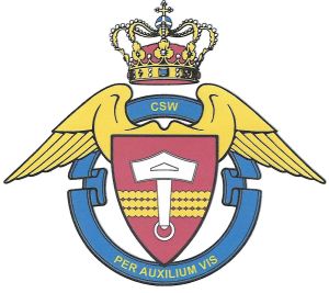 Combat Support Wing, Danish Air Force.jpg